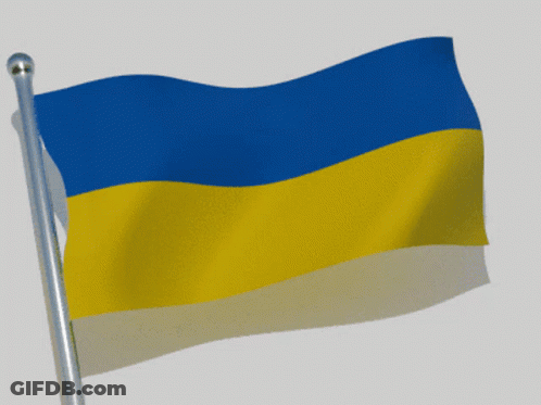 Blue And Yellow Flag Waving GIF