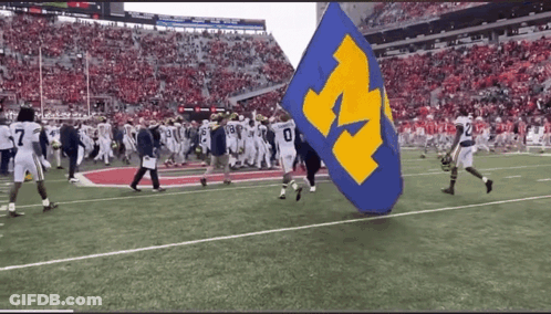 Blue And Yellow Flag With Letter M Carried By Football Players GIF