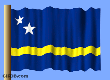 Blue And Yellow Flag With Two White Stars GIF