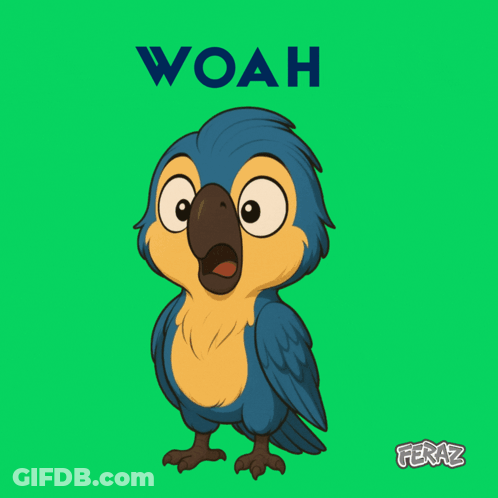 Blue And Yellow Parrot Saying Woah GIF