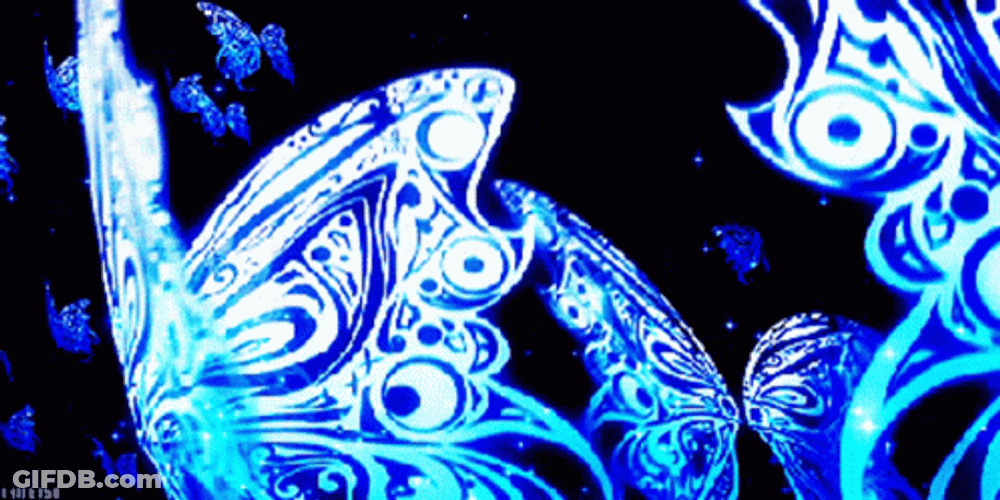 Blue Anime Butterflies With Cool Design GIF
