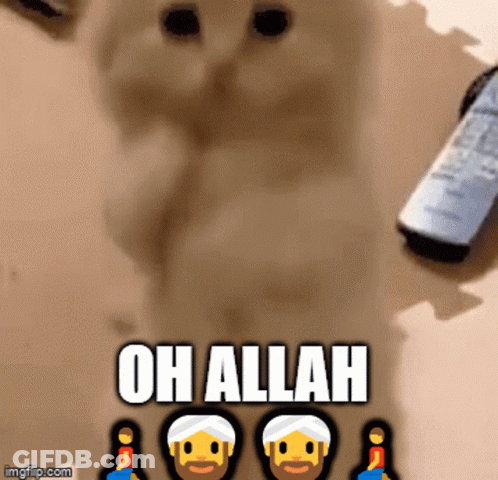 Blue Background Allah GIF