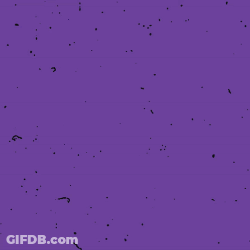 Blue Background Devil Rays Win Yellow GIF