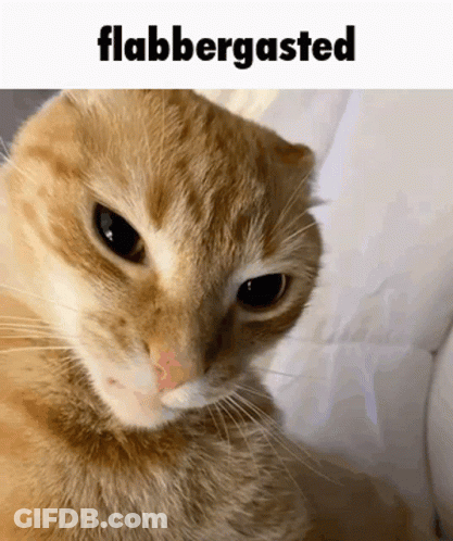 Blue Background Enters Chat GIF