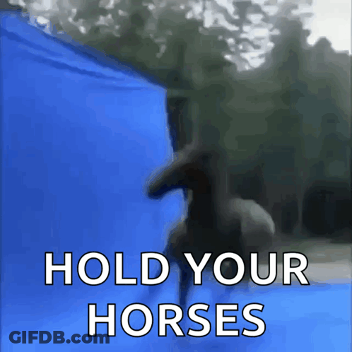 Blue Background Horse Saying Hold Your Horses GIF
