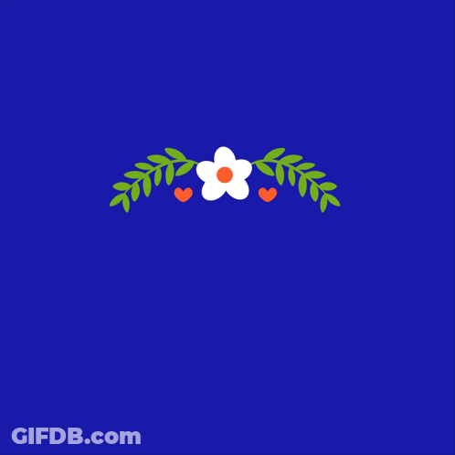 Blue Background Saying Congrats With Flower GIF