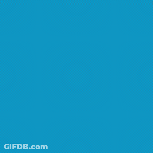 Blue Background Sunglasses Sunsglasses Day GIF