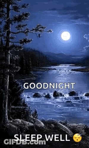 Blue Background Together Is A Very Beautiful Place To Be GIF