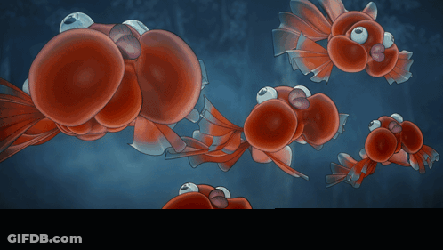 Blue Background With Red Flowers GIF