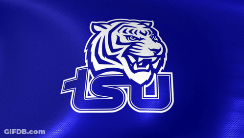 Blue Background With Tiger And Letters Tsu GIF