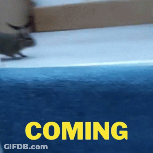Blue Background Yellow Text Coming GIF