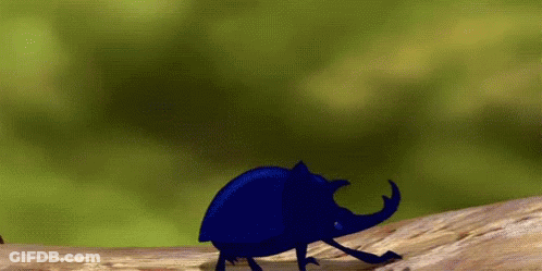 Blue Beetle Crawling On Tree Branch GIF