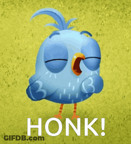 Blue Bird Eyes Closed Honk GIF