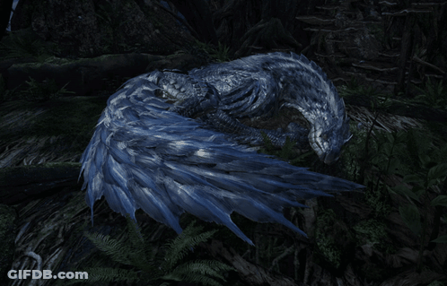 Blue Bird Laying In Woods GIF