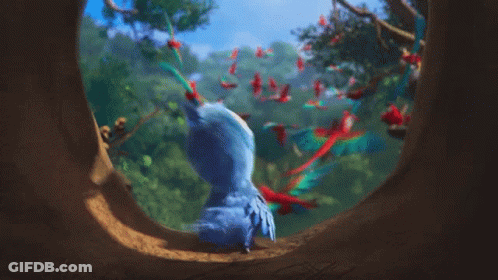 Blue Bird Looking Out Of Hole GIF