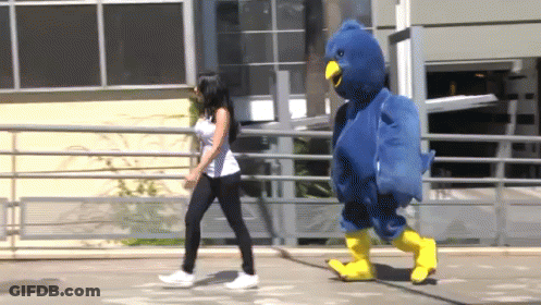 Blue Bird Mascot Walking With Woman GIF