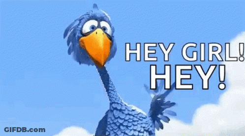 Blue Bird Orange Beak Saying Hey Girl Hey GIF