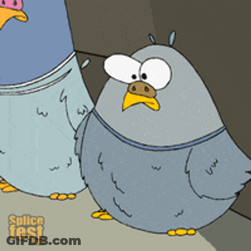 Blue Bird Pooping Animation GIF