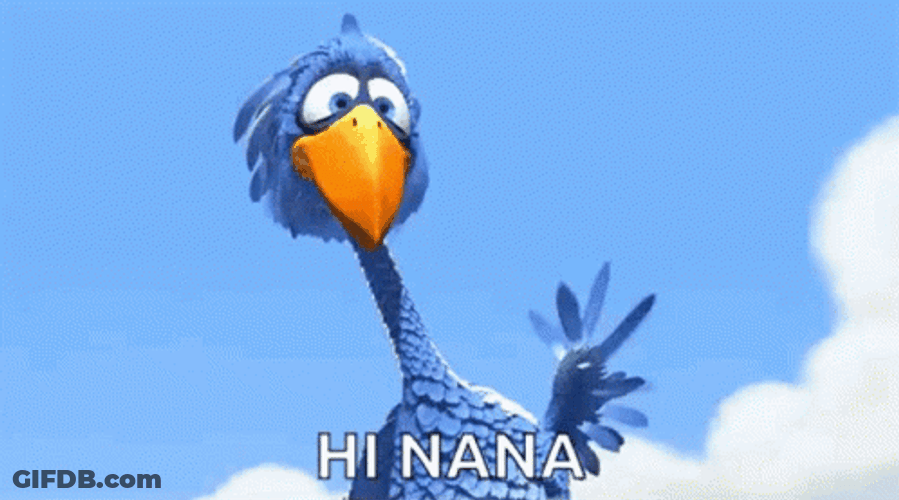 Blue Bird Saying Hi To Nana GIF