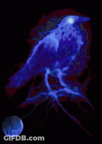Blue Bird Sitting On Tree Branch With Full Moon GIF