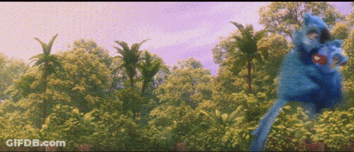 Blue Bird Standing In Forest GIF