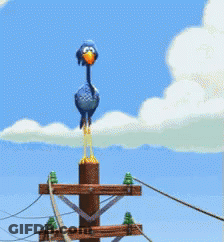 Blue Bird With Yellow Beak In Blue Sky GIF