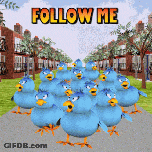 Blue Birds Walking Down Street Saying Follow Me GIF