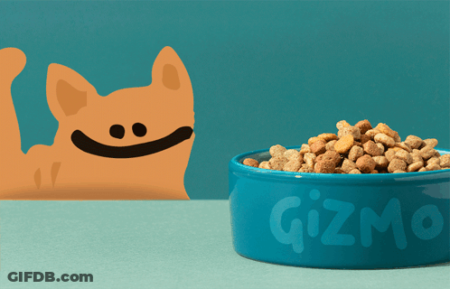 Blue Bowl Of Gizmo Dog Food With Cat Behind GIF