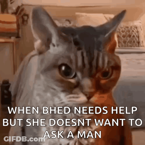 Blue Bull With Horns And Superman Costume GIF