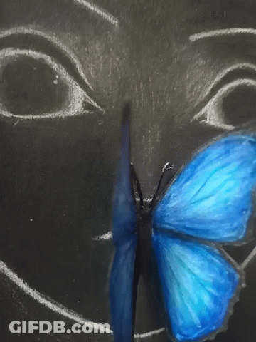 Blue Butterfly Drawing On Black GIF
