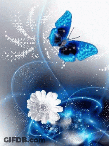 Blue Butterfly Flying Over White Flower GIF
