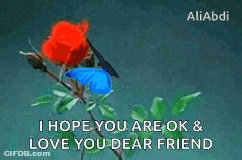 Blue Butterfly On Red Rose I Hope You Are Ok Love You Dear Friend GIF
