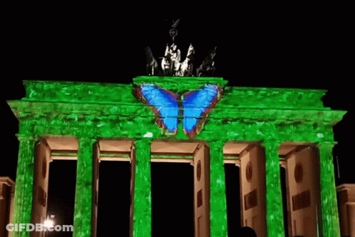 Blue Butterfly Projected On Green Building At Night GIF