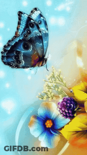 Blue Butterfly Sitting On Flower GIF