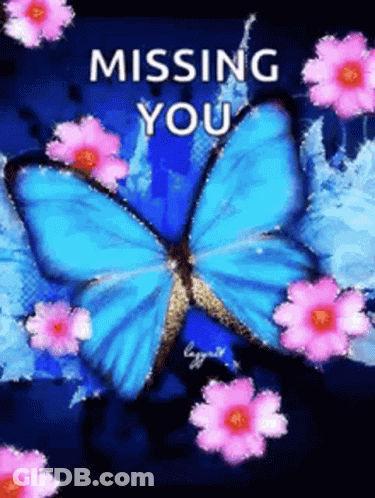Blue Butterfly With Pink Flowers Missing You GIF