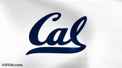 Blue CAL Logo On White Background GIF