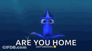 Blue Cartoon Character Eyes Saying Are You Home GIF