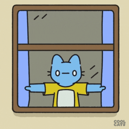 Blue Cat Closing Curtains GIF