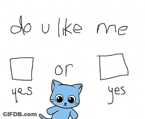 Blue Cat Do U Like Me Or Yes GIF