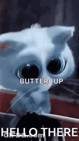 Blue Cat Holding Fork Says Buttercup Hello There GIF