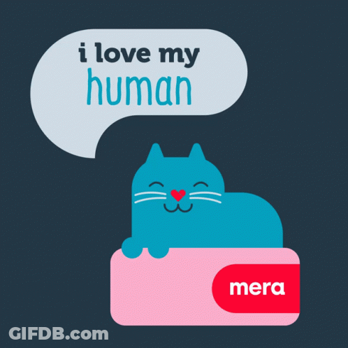 Blue Cat Lying On Pink Box Saying I Love My Human GIF