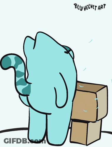 Blue Cat Next To Cardboard Boxes GIF