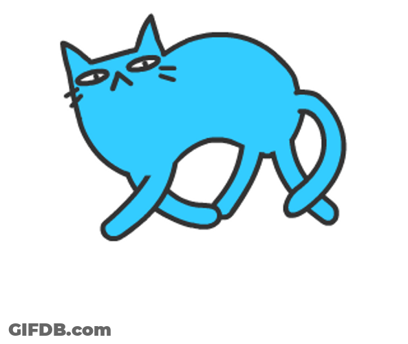 Blue Cat Turn Around GIF