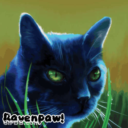 Blue Cat With Green Eyes Named Ravenpaw GIF
