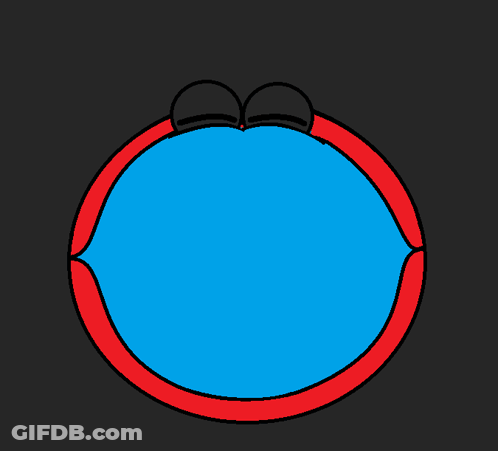 Blue Circle With Ireland Written On It GIF