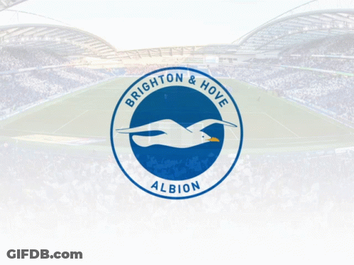 Blue Circle With White Bird GIF