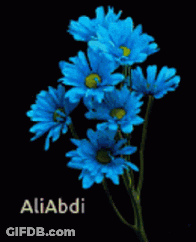 Blue Daisies With Aliabdi Name GIF