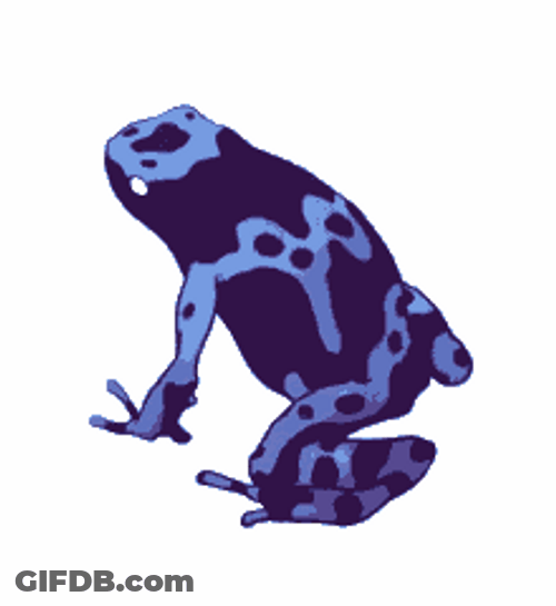 Blue Dart Frog Art GIF