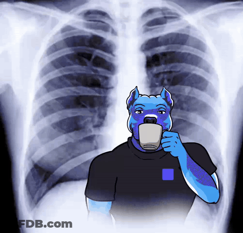 Blue Dog Drinking From Cup At X-Ray GIF