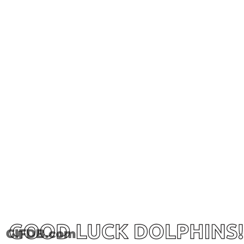 Blue Dolphin Saying Good Luck Dolphins GIF